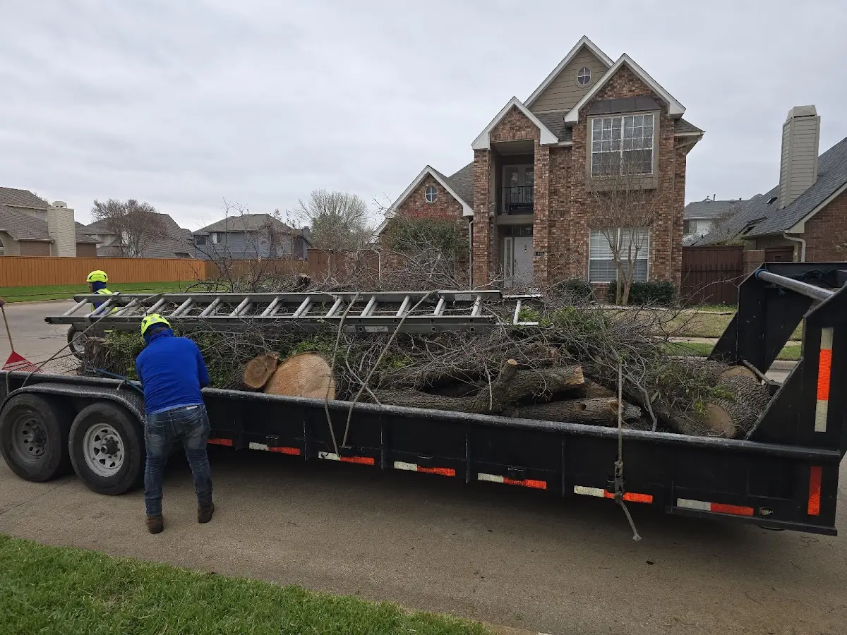 Expert Tree Fertilization with proper safety equipment in Suches
